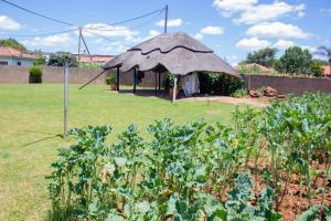 a garden with a gazebo in a field at Bulawayo Bliss - Cozy 3 Bedroom House in Bulawayo