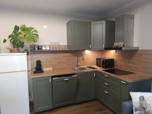 a kitchen with green cabinets and a sink and a refrigerator at Alexander Lodge in Isolaccia