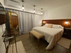 a bedroom with a large bed and a mirror at Castelvi casa boutique in Saladillo