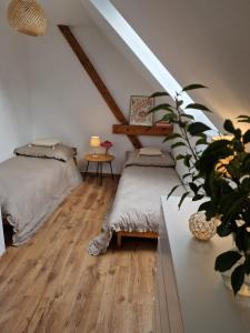 a room with two beds and a potted plant at Mazurski Apartament in Snopki