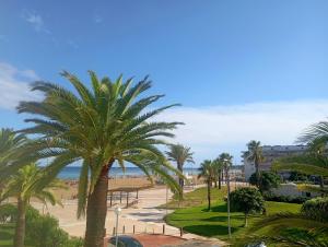 a view of a beach with palm trees at La Pineda Pisito Playero in La Pineda +22 photos