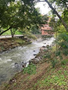a river with rocks and trees and a bridge at HOTEL del OESTE B&B in Cali