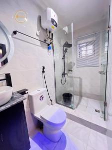 a bathroom with a shower and a toilet and a sink at Shelve Apartments in Aja