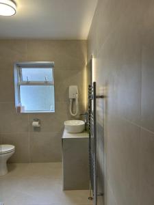 a bathroom with a sink and a toilet at Belvedere Lodge in Cork +36 photos