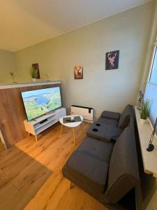 a living room with a couch and a flat screen tv at Appartement Königshütte in Königshütte