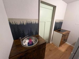 a bathroom with a sink with a forest on the wall at Appartement Königshütte in Königshütte