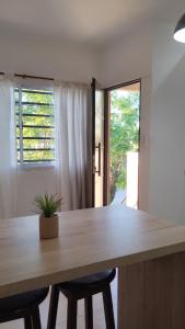 a large wooden table in a room with a potted plant at Atenea B in Chivilcoy
