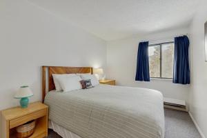 a bedroom with a bed with blue curtains and a window at Mad House in Waterville Valley