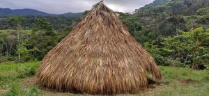 a large grass roofed hut in a field at Reserva Wanaka, San Carlos in Cocorná +10 photos