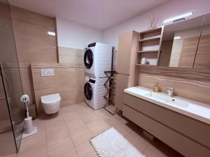 a bathroom with a sink and a washing machine at Villa Vita - GLORIA in Slovenj Gradec