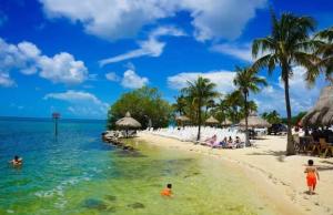 a beach with palm trees and people in the water at Studio Apartment with backyard - All Private! in Homestead