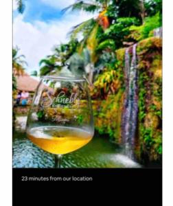 a glass of wine sitting in front of a waterfall at Studio Apartment with backyard - All Private! in Homestead
