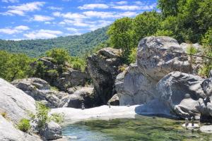 a pool of water with rocks and trees at Casa La Colombaia in Poggio-di-Nazza