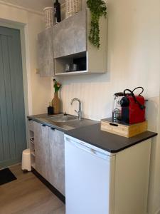 a kitchen with a sink and a counter top at Waves in De Koog +17 photos