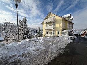 a house with a pile of snow in front of it at Schöngrün in Sankt Andreasberg