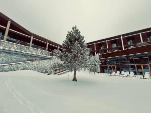 a tree in the snow in front of a building at Hotel Ramonda in Boljevac +120 photos