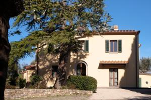a house with a tree in front of it at Il Casale Naturart in Quarrata