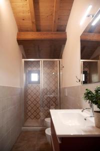 a bathroom with a shower with a toilet and a sink at Il Casale Naturart in Quarrata