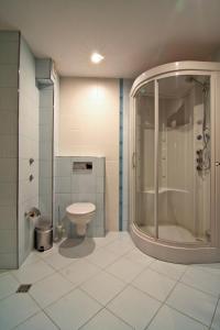 a bathroom with a shower and a toilet at Holiday Village Kochorite in Pamporovo