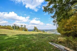 a grassy hill with a wooden bench in a field at Alpine Adventure in McHenry