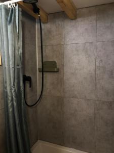 a shower in a bathroom with a shower curtain at Tiny House na pevnosti Křelov in Olomouc