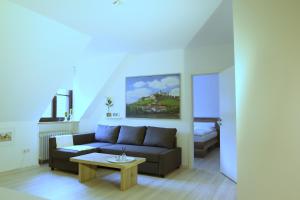 a living room with a couch and a table at Ferienwohnung 1 ANNA IFF in Würzburg