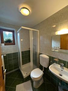 a bathroom with a toilet and a shower and a sink at Kmetija Matk in Solčava