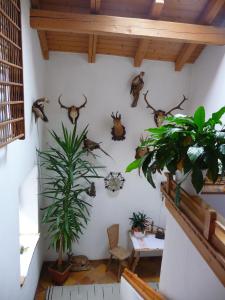 Fotografie z fotogalerie ubytování Gasthof Gemse v destinaci Planol