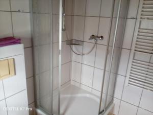 a shower with a glass door in a bathroom at Seeperle am Concordia See in Friedrichsaue +9 photos