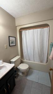 a bathroom with a white toilet and a window at Comfortable 2BR-2BA Mountain Getaway Near Slopes in Cortland