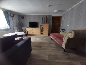 a living room with a couch and a tv at Tweet Tohuus in Feldberg