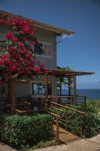 a house with a tree with pink flowers at Pousada Mar em Mim in Fernando de Noronha