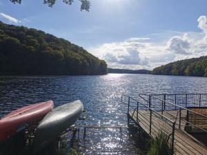 a boat is parked at a dock on a lake at Tweet Tohuus in Feldberg +14 photos