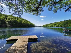 a dock on a lake with a boat in the water at Tweet Tohuus in Feldberg