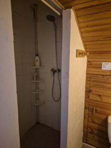 a shower with a shower head in a bathroom at MAISON TUCCARELLU in Letia +53 photos