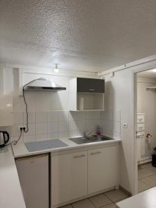 a small kitchen with white cabinets and a sink at Apparemment 2 pièces in Vaulx-en-Velin