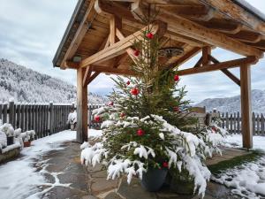 a christmas tree under a gazebo in the snow at Baita il nido dell'aquila in Fierozzo +3 photos
