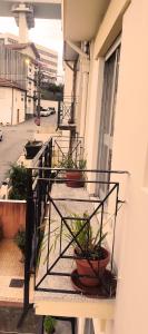 three potted plants on a balcony of a building at DockApartment in Vila Nova de Gaia +37 photos