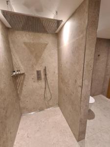 a bathroom with a shower with a glass door at Wellness Chalet Apartment Hochkalter in Bischofswiesen