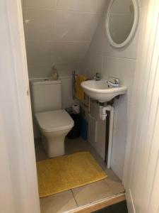 a small bathroom with a toilet and a sink at Hackamore House in Salisbury