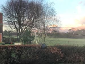 a yard with a fence and a field with trees at Hackamore House in Salisbury