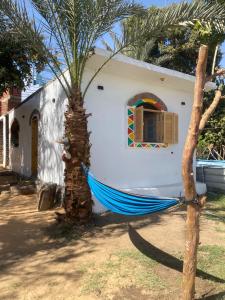a blue hammock in front of a house at Rooma ka Guest House in Aswan