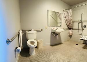 a bathroom with a toilet and a sink at Curly Redwood Lodge in Crescent City