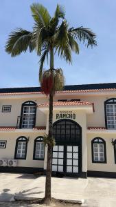 a palm tree in front of a building at Pouso do Rancho in São José do Barreiro