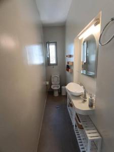 a bathroom with a toilet and a sink and a mirror at Terpsithea in Triandáros