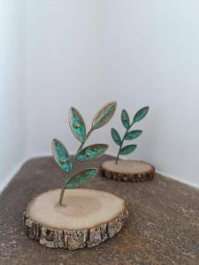 a small plant sitting on top of a tree stump at Terpsithea in Triandáros