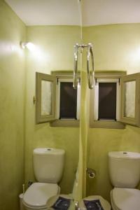 a bathroom with a toilet and a shower at Terpsithea in Triandáros +51 photos