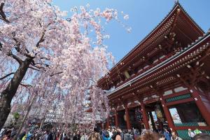 a crowd of people walking in front of a building with a tree at Hikari-Private House in Tokyo