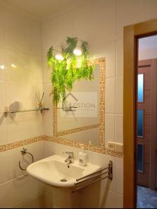 a bathroom with a sink and a mirror at La Casona y El Apartamento De La Foz in Lugar de Arriba +77 photos