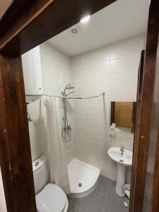 a bathroom with a toilet and a sink at Art House Mestia in Mestia